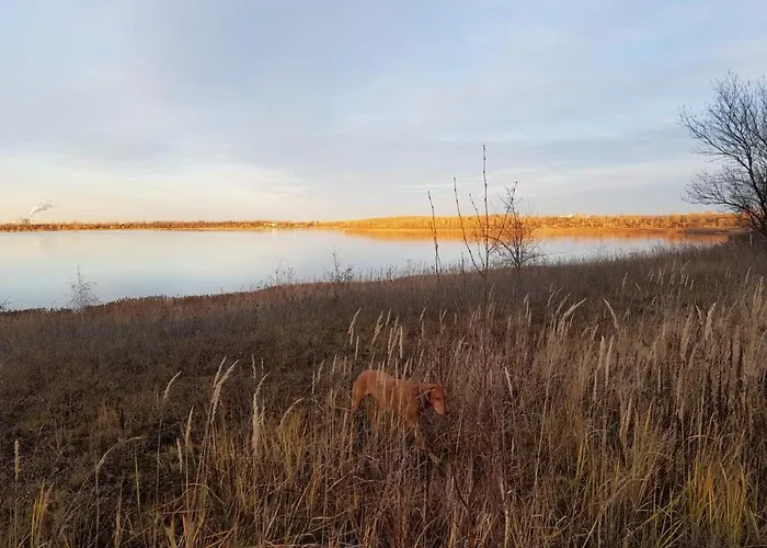 Warias Am Geiseltalsee - Naehe Merseburg Und Muecheln Szálloda