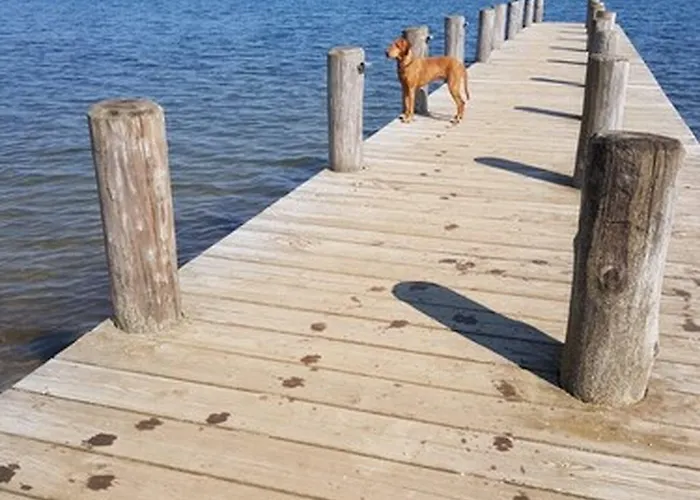 Warias Am Geiseltalsee - Naehe Merseburg Und Muecheln Hotell